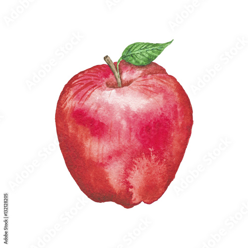 Watercolor AppleHand-Painted Isolated