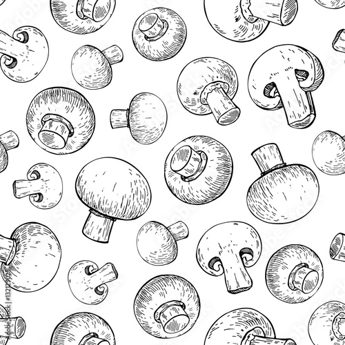 Champignon mushroom hand drawn vector seamless pattern. Sketch f