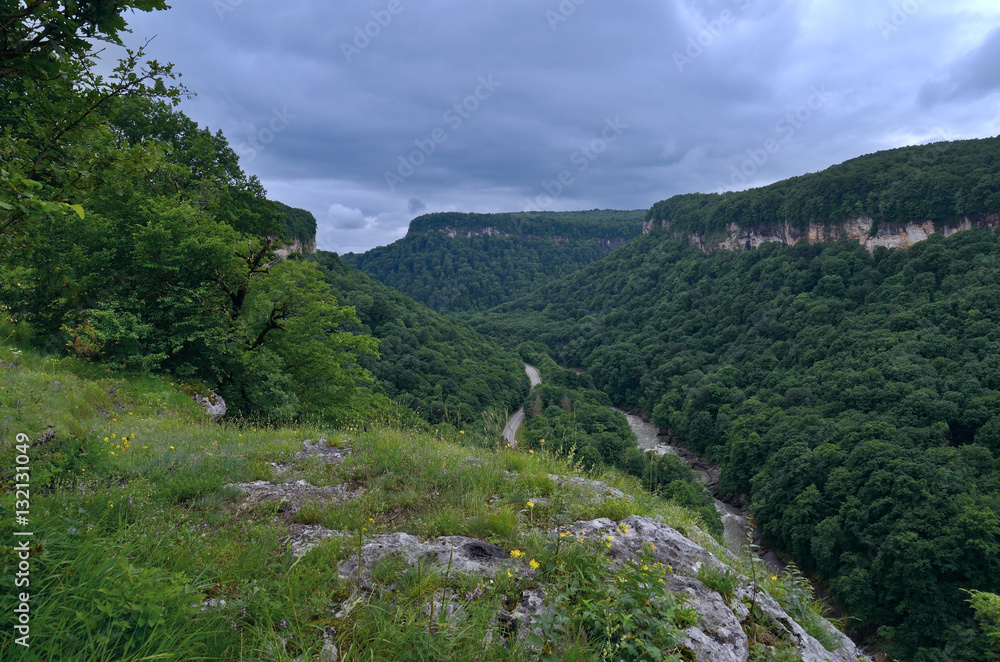 Fototapeta premium Beautiful landscape in a mountain valley. Summer green foliage o