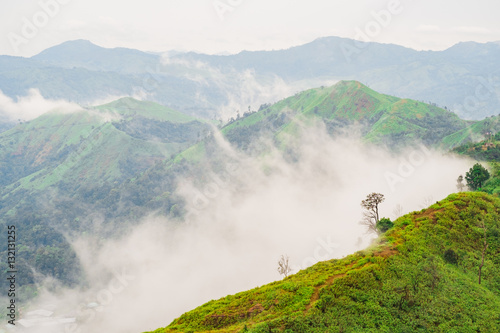 Fog after rain in the mountain,nature view.