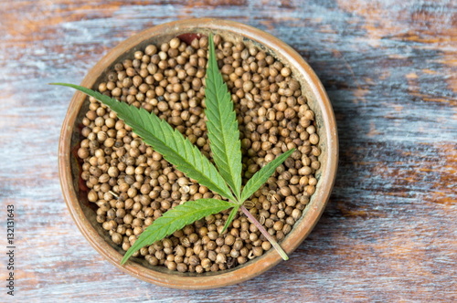 Marijuana plant and Cannabis seeds