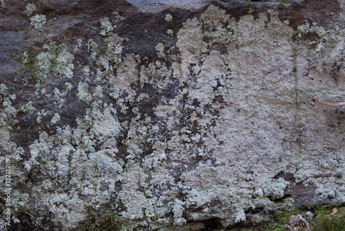 Rock Background