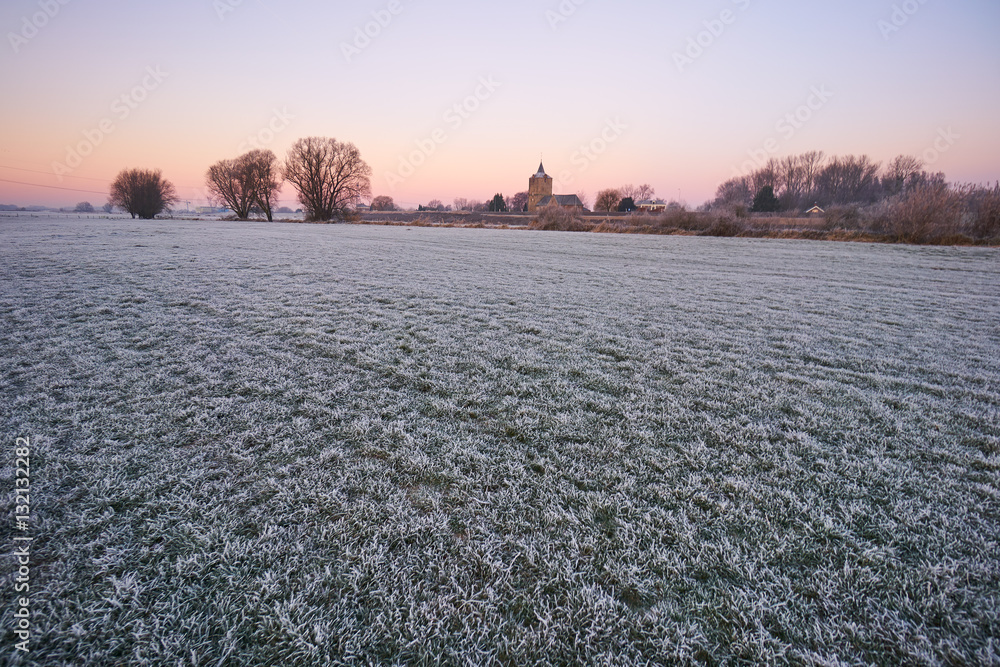 Obraz premium grass with frost in morning light