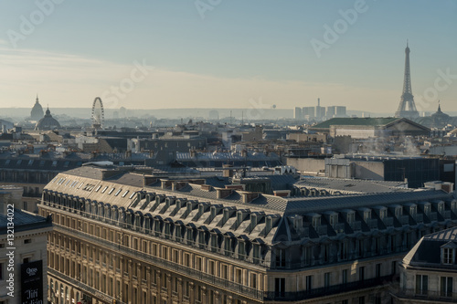 View of the roofs of Paris.