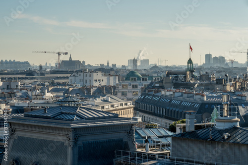 View of the roofs of Paris.