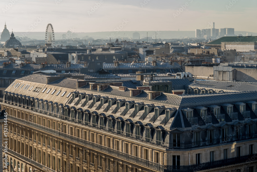 View of the roofs of Paris.