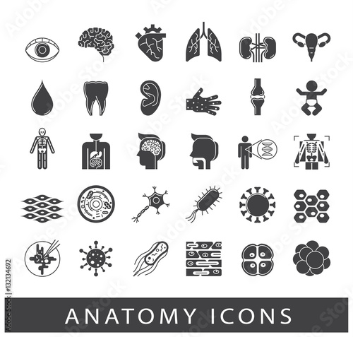 Icons presenting various organs and parts of the human body. Set of premium quality icons. Collection of anatomy icons. Medical and science. 