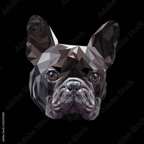 dog vector breed cute pet animal bulldog