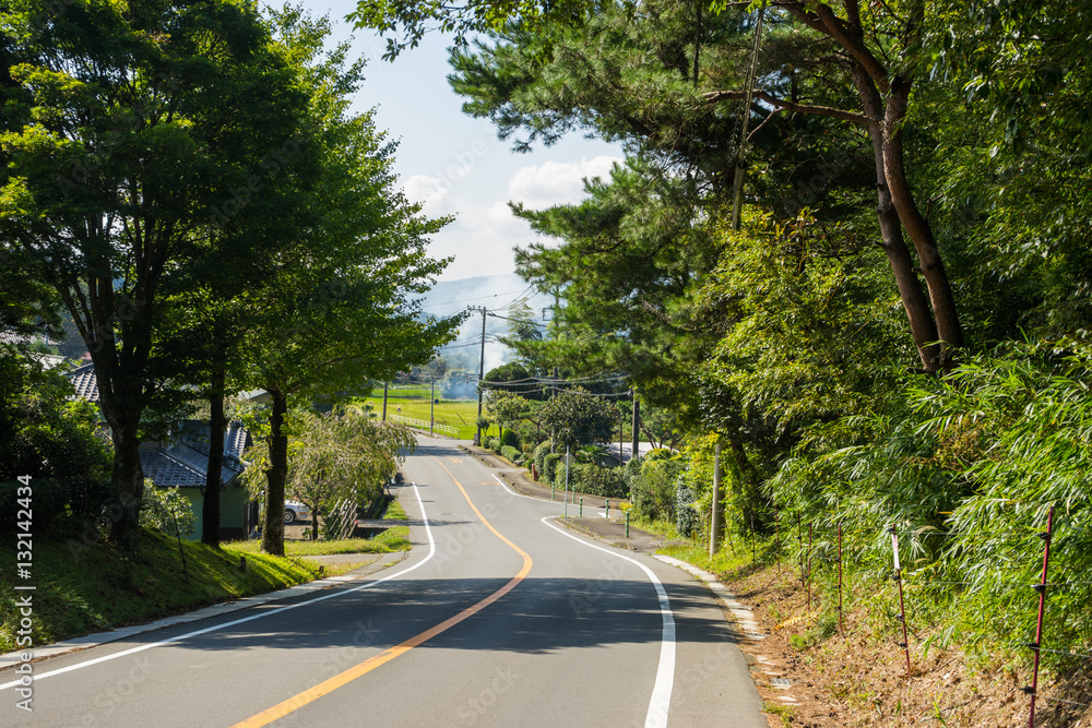 Numata Romantic Road