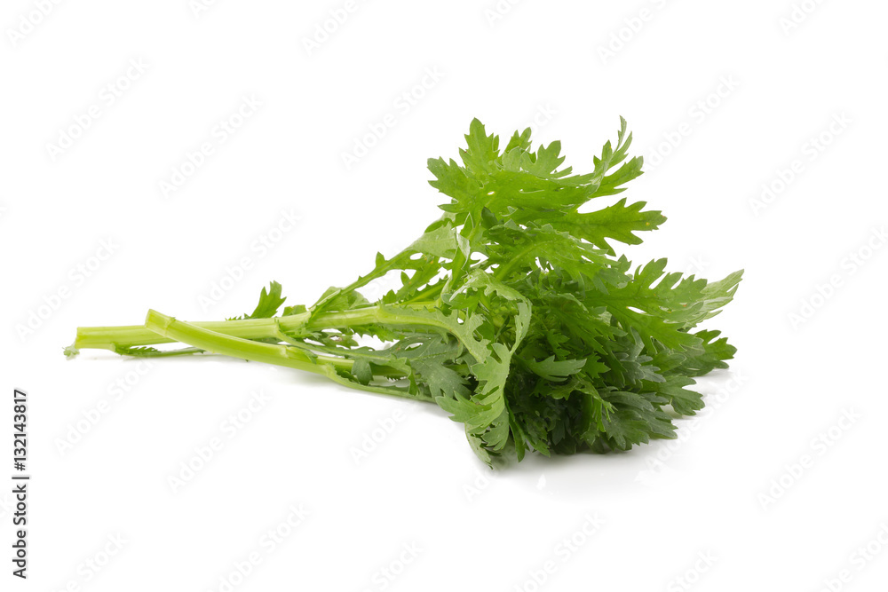 Chrysanthemum coronarium Isolated on white background. Chrysanthemum coronarium Isolated on white background.