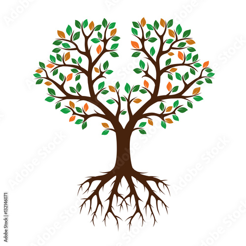 Color Tree and Leafs. Vector Illustration.