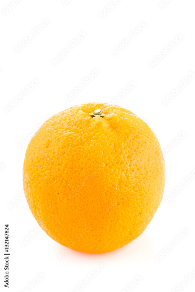 One whole round orange unpeeled on a white background One whole round orange unpeeled on a white background