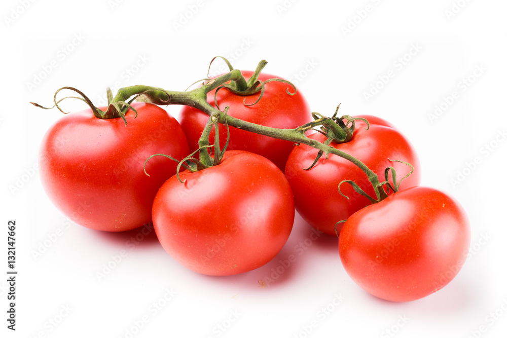 Closeup of shiny red tomatoes on a green stem on a white background