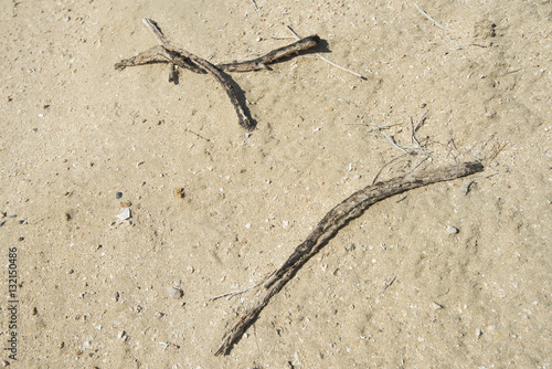Dead sticks on sand background wallpaper © Paul Vinten
