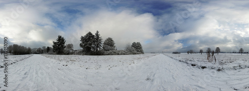 Forest 360 degree spherical panorama