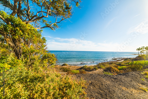 green shore in Malibu