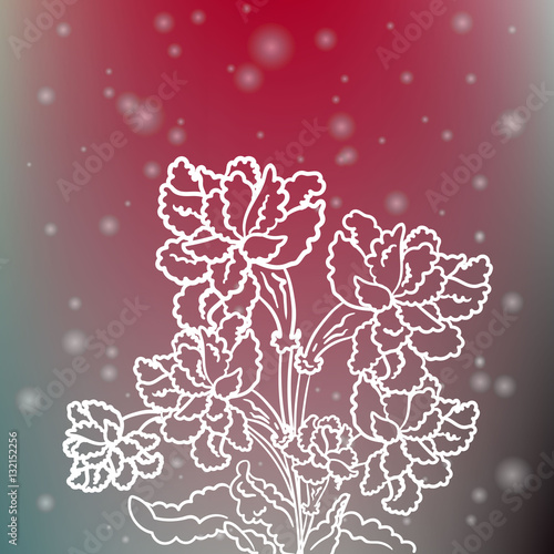 Tableau sur toile Elegant sparkling flowers on blurred background