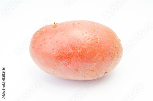 Single red potato on white background