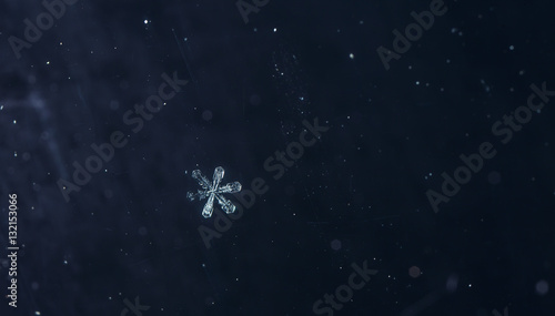 natural snowflakes  photo real snowflakes during a snowfall  under natural conditions at low temperature