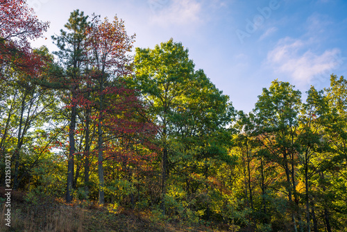 Fall foliage in West Virginia