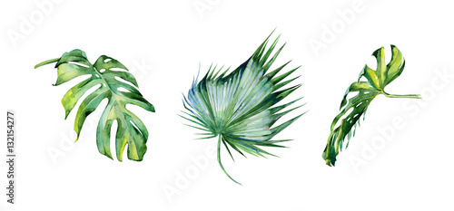 Watercolor illustration of tropical leaves, dense jungle. Hand painted. Banne...