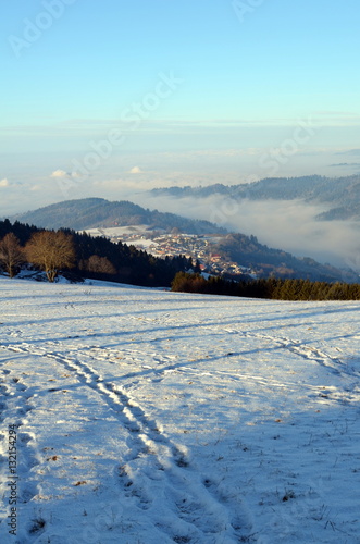 Horben im Winter photo