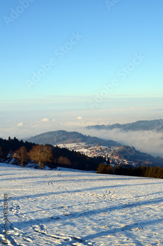 Blick auf Horben im Schwarzwald © christiane65