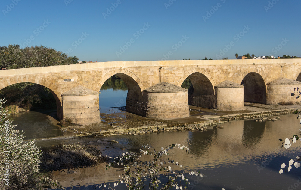 Roman Bridge over Guadalquivir river, Great Mosque, Cordoba, Spain