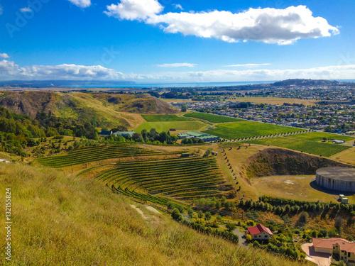 View from Te Mata Hills  Hawkes Bay  New Zealand