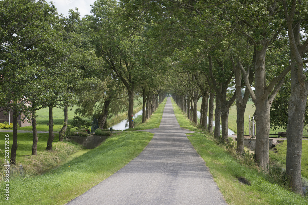 Rural Road, Northern Holland