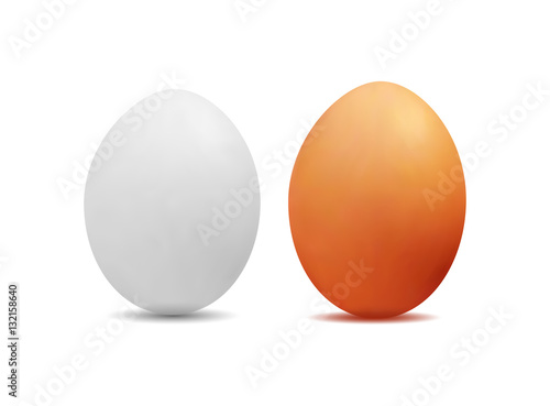 3D realistic image of yellow and white eggs