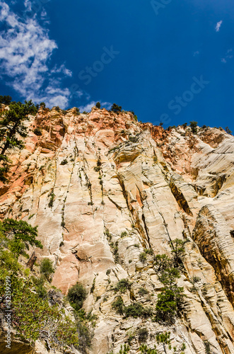 Viewpoint of Zion National Park cliff from Observation point tra photo