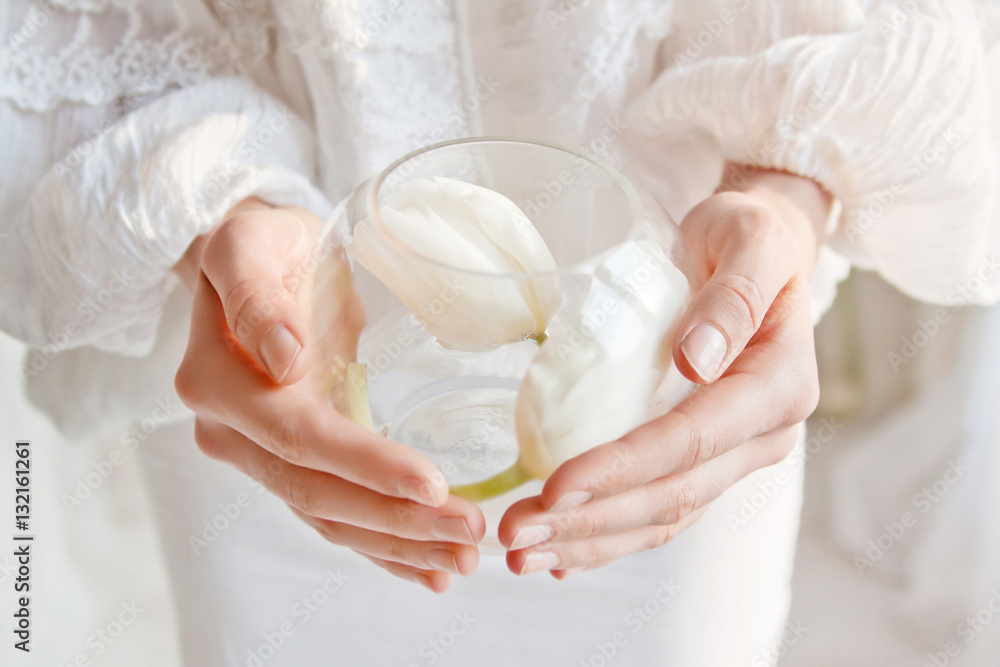 white tulips in women's hands white tulips in women's hands