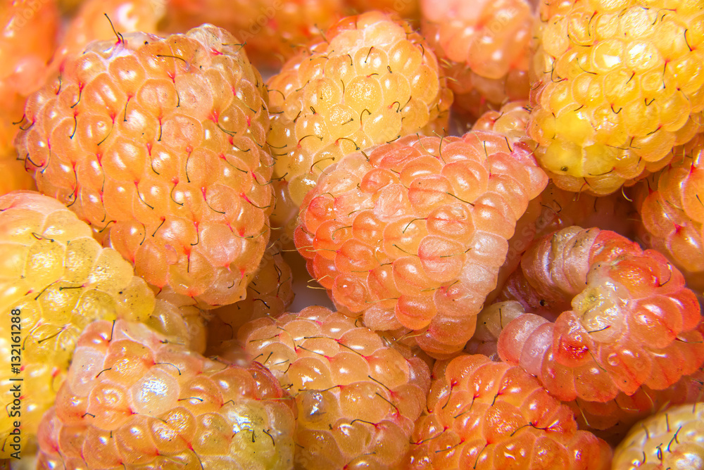 Closeup macro of golden raspberries Closeup macro of golden raspberries
