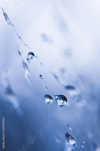 Abstract composition with water drops, spiderwebs and bokeh