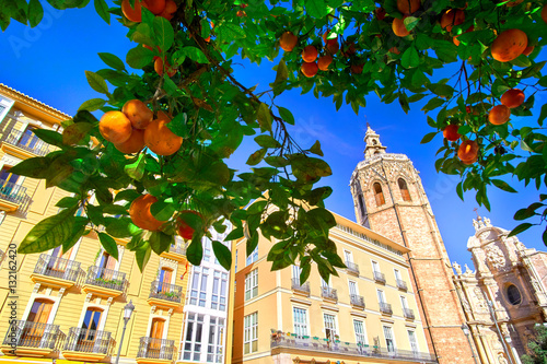 Valencia Spain Architecture and Orange Tree