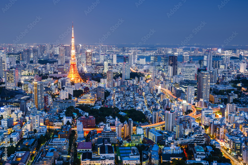 Naklejka premium Cityscape at Night, Tokyo, Japan