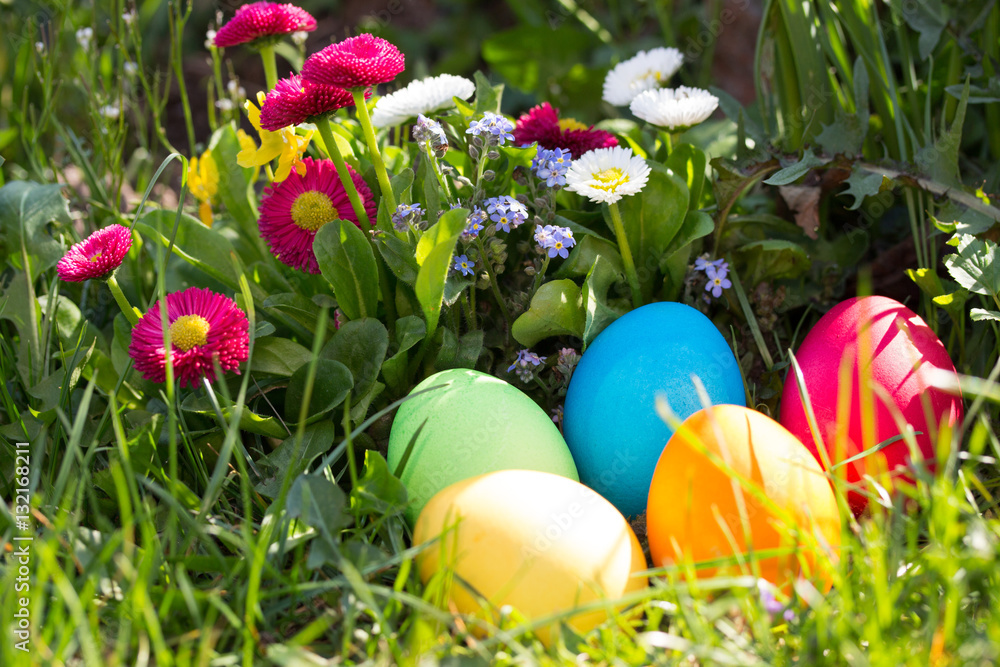 Ostereier im Garten suchen Ostereier im Garten suchen