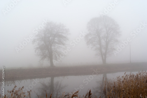 drzewa w gęstej mgle nad kanałem wodnym