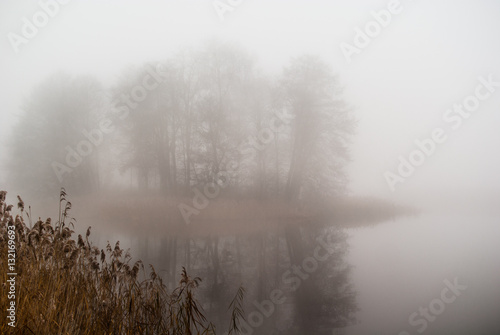 Wyspa na stawie w gęstej mgle