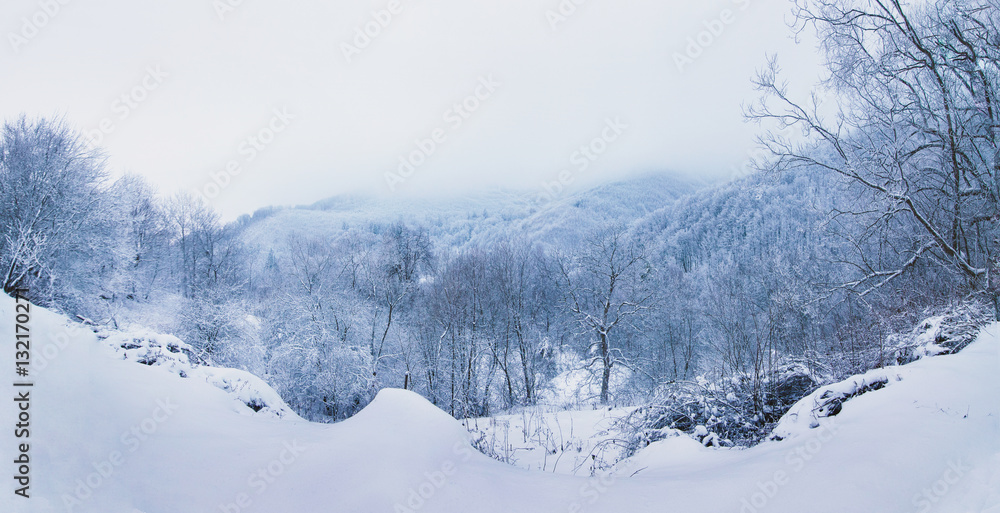 Winter landscape and fog