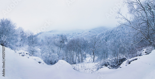 Winter landscape and fog © Alexandru