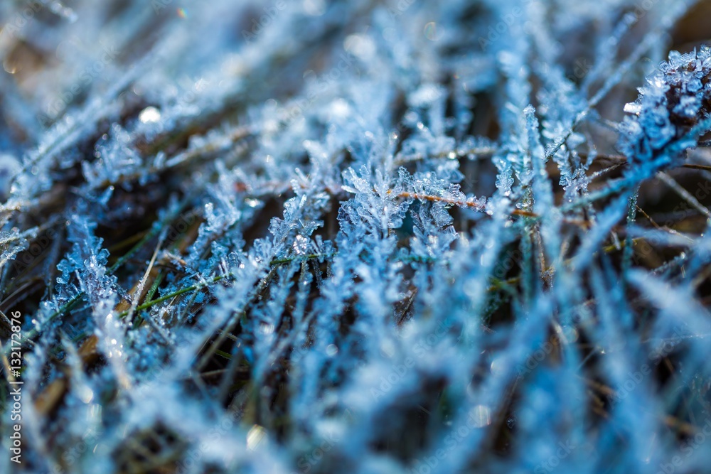 Obraz premium Ice structure on plants