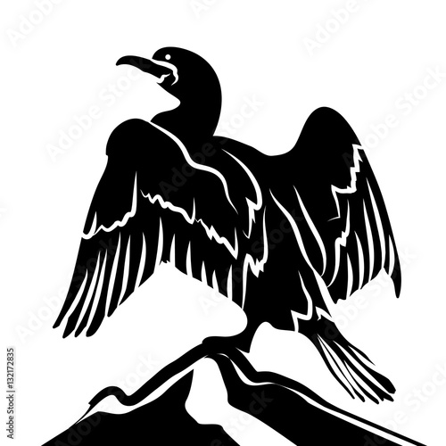 Abstract Cormorant in Black and White
