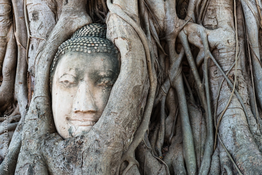 Head of Buddha statue in the tree roots at Wat Mahathat temple