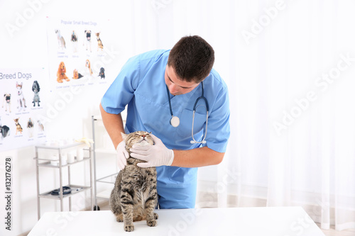 Handsome young veterinarian...