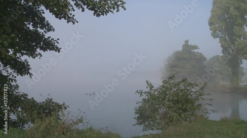Brumes matinale sur un lac