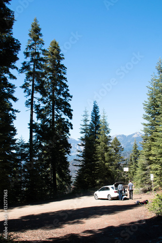 in sequoia National Park