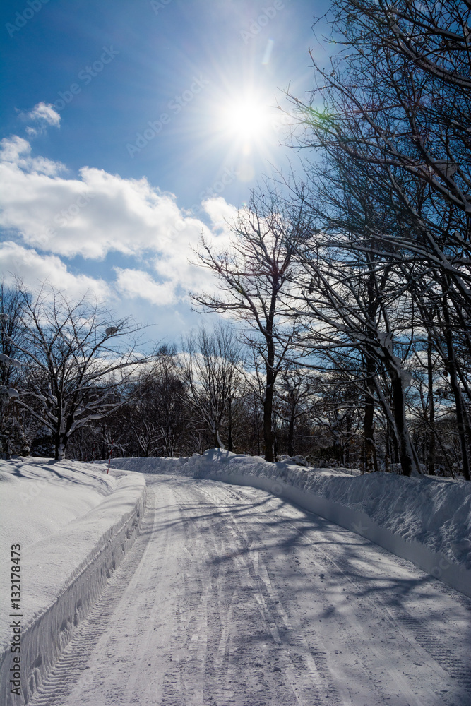 Obraz premium 冬の太陽と雪道