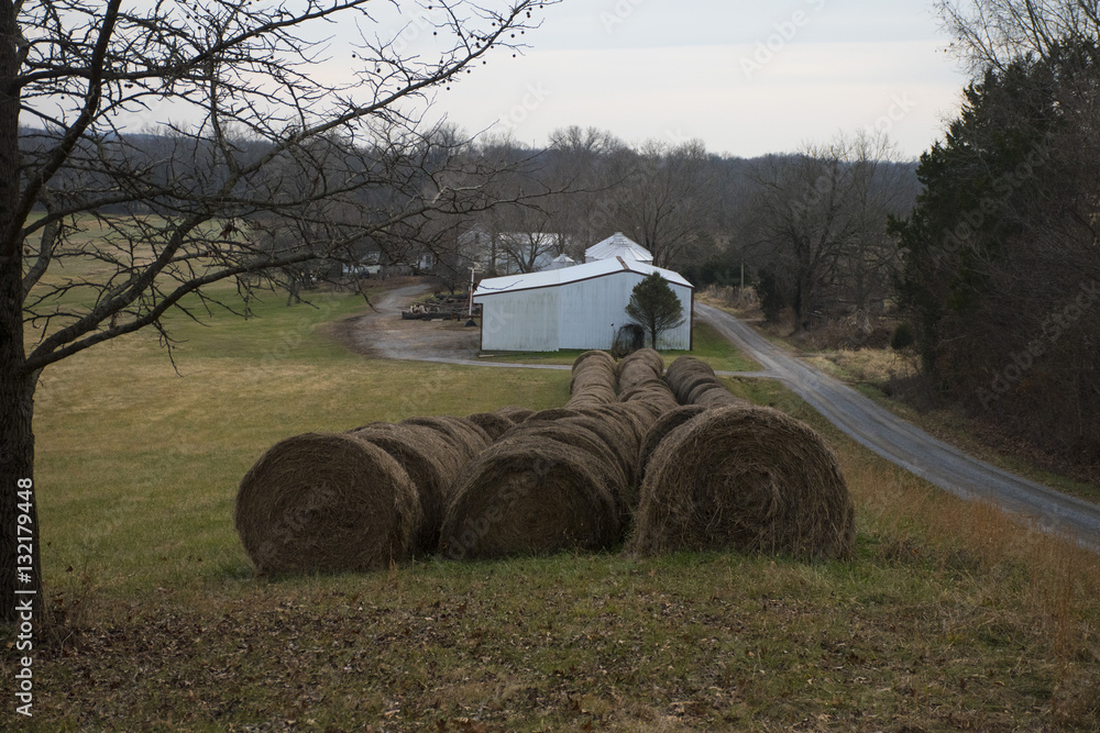 Obraz premium Hay Row